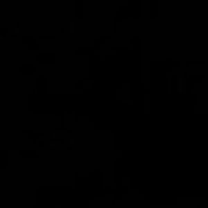 Meet your Posher, Phyllis